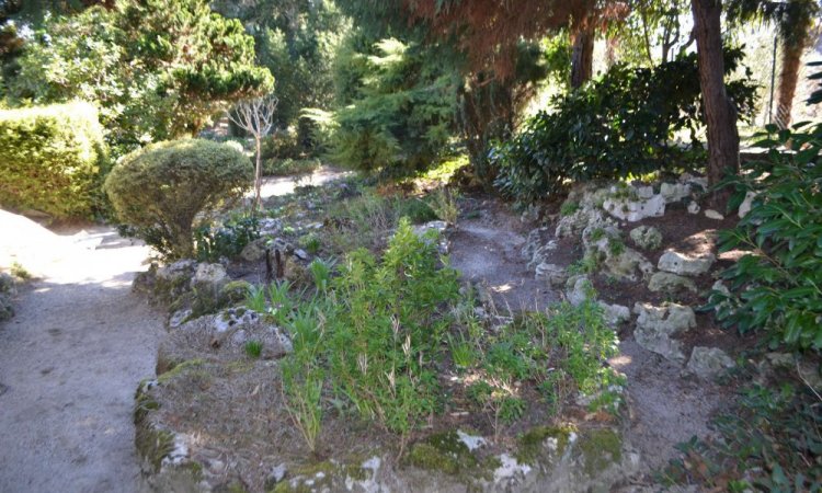 Décoration avec un massif, un gabion ou de la rocaille à Saint-Martin-la-Plaine - H2O Paysages