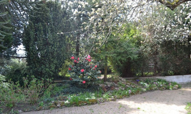 Entretien de jardins, tailles et élagages à Saint-Martin-la-Plaine - H2O