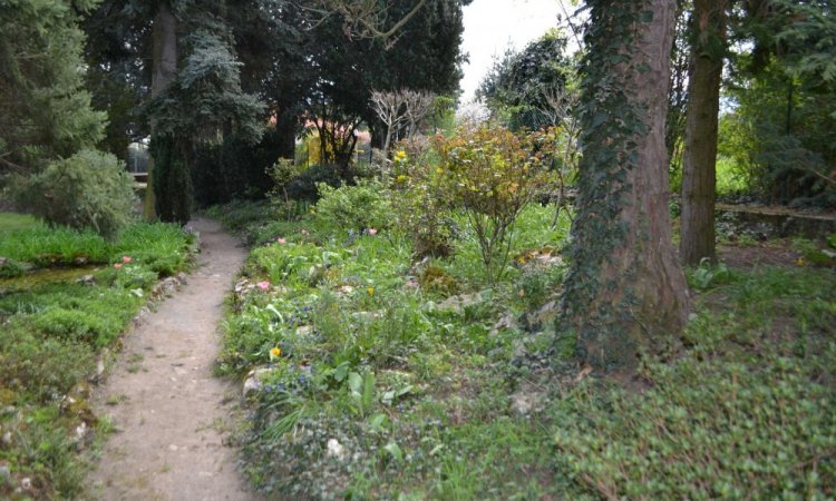 Entretien de jardins, tailles et élagages à Saint-Martin-la-Plaine - H2O