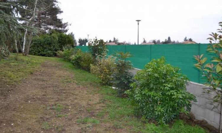 Plantation d'une haie à Saint-Martin-la-Plaine - H2O Paysages
